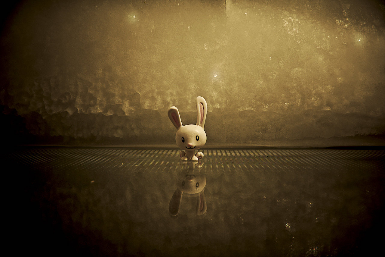 photo-1439436556258-1f7fab1bfd4f