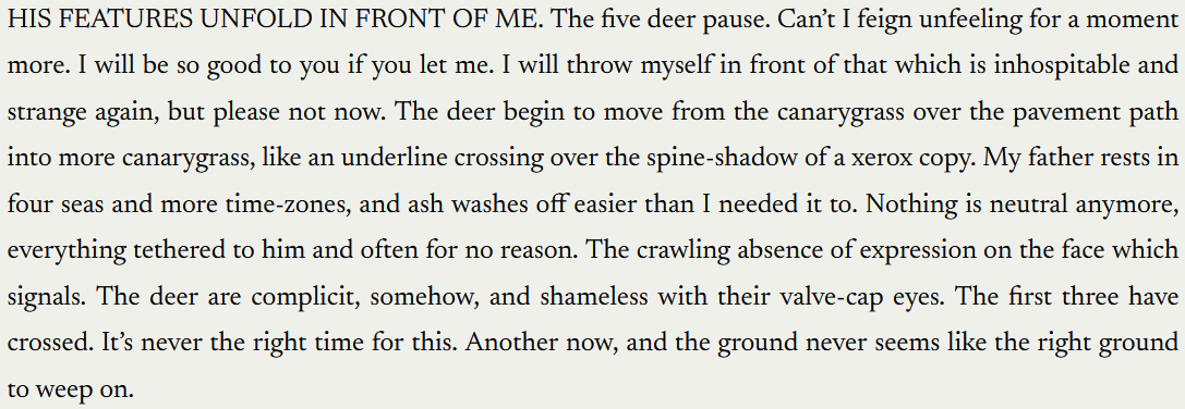 His features unfold in front of me. The five deer pause. Can’t I feign unfeeling for a moment more. I will be so good to you if you let me. I will throw myself in front of that which is inhospitable and strange again, but please not now. The deer begin to move from the canarygrass over the pavement path into more canarygrass, like an underline crossing over the spine-shadow of a xerox copy. My father rests in four seas and more time-zones, and ash washes off easier than I needed it to. Nothing is neutral anymore, everything tethered to him and often for no reason. The crawling absence of expression on the face which signals. The deer are complicit, somehow, and shameless with their valve-cap eyes. The first three have crossed. It’s never the right time for this. Another now, and the ground never seems like the right ground to weep on.